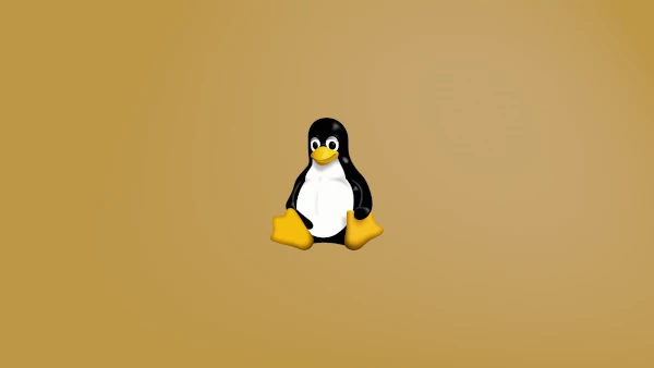 Linux szerver - 1. Telepítés